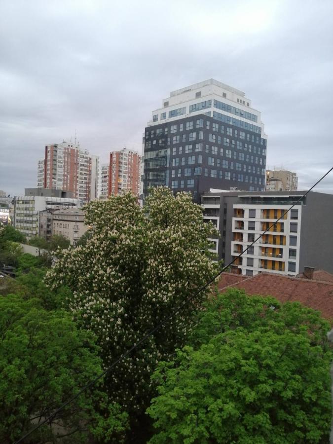 Caviar Daire Belgrad Dış mekan fotoğraf